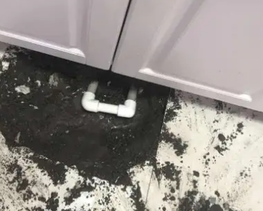 沙市查漏水哪家好